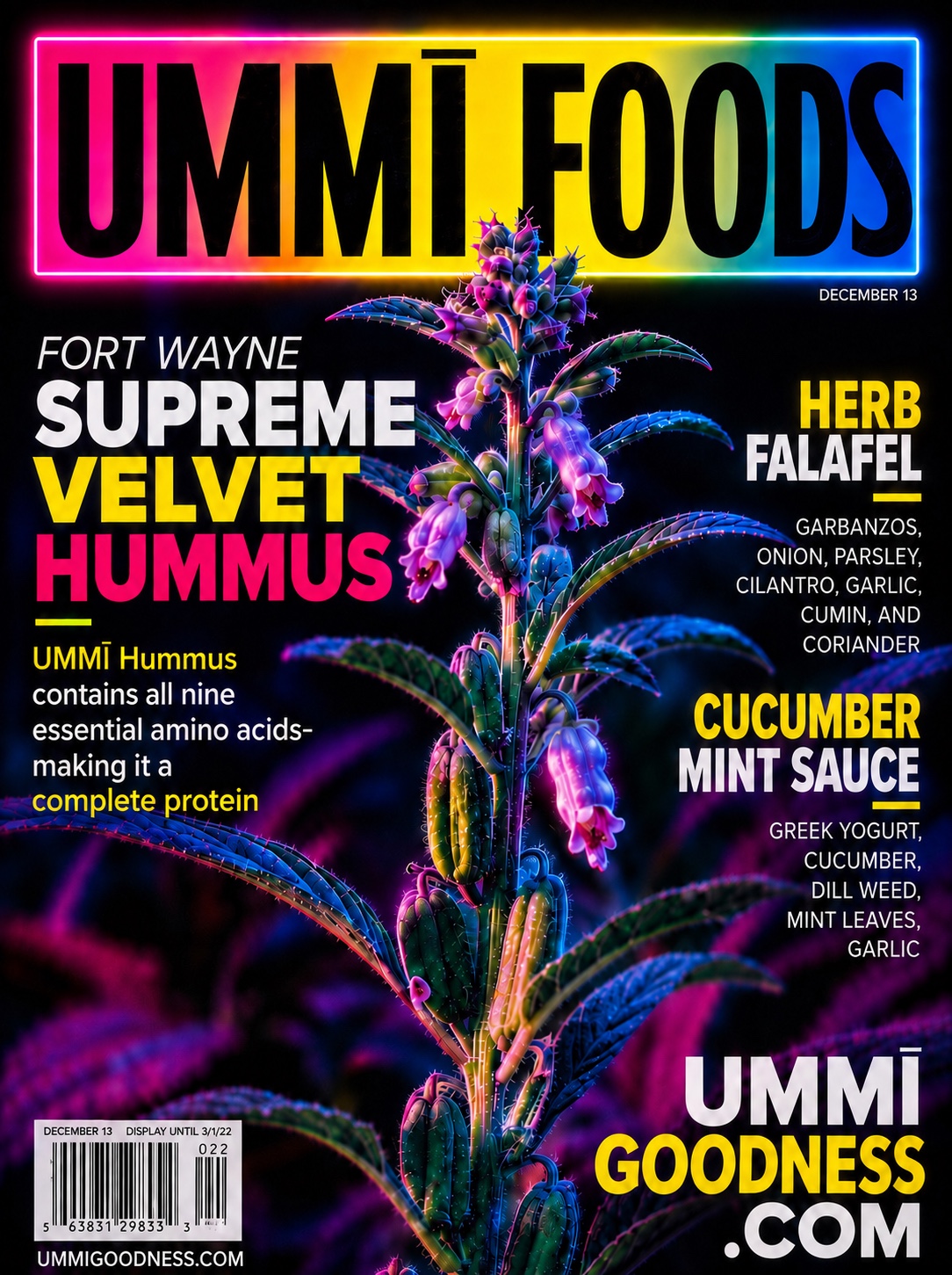UMMI Foods poster-style artwork with neon rainbow title and product highlights.